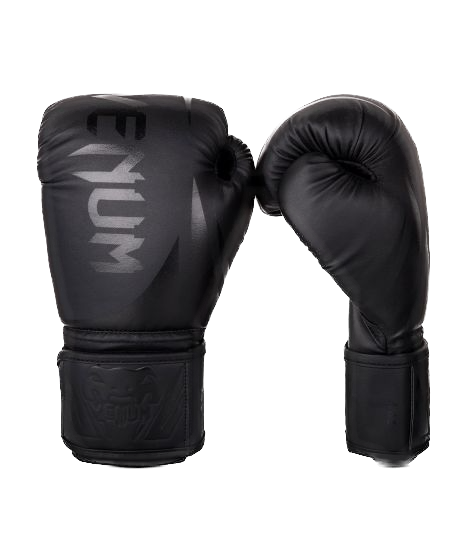Venum Boxing Gloves Challenger Kids 2.0 Black/Black
