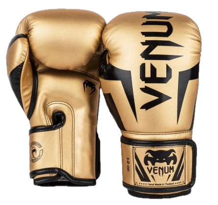 Venum Boxing Gloves Elite Gold/Black