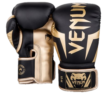 Venum Boxing gloves Elite Black/Gold