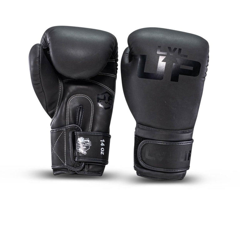 LVL-UP Boxing gloves BG 2 Black