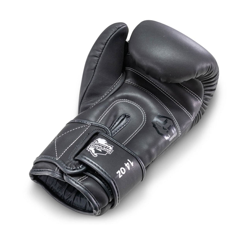 LVL-UP Boxing gloves BG 2 Black
