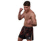 Joya Gear Fightshort High Split Elite Red