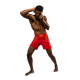 Venum X WOW FC Fightshort Fiery Red