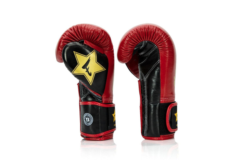 Fairtex Booster Boxing Gloves BG V2 Red/Black