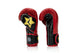 Fairtex Booster Boxing Gloves BG V2 Red/Black