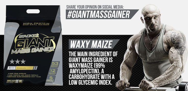 Stacker2 Europe Giant Mass Gainer 2270 grams Strawberry