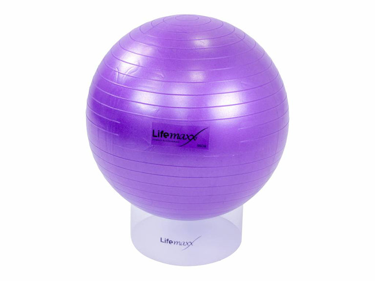 Gymball Holder LMX1100 Lifemaxx