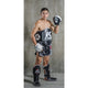 King Pro Boxing Handpads FM
