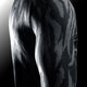 Hayabusa Rashguard Apex Long Sleeve Black