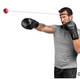 Hayabusa Boxing Reflex Ball Kit