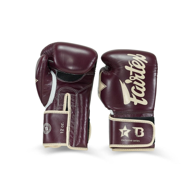 Fairtex Booster Boxing Gloves FXB BG V2 BR/CR