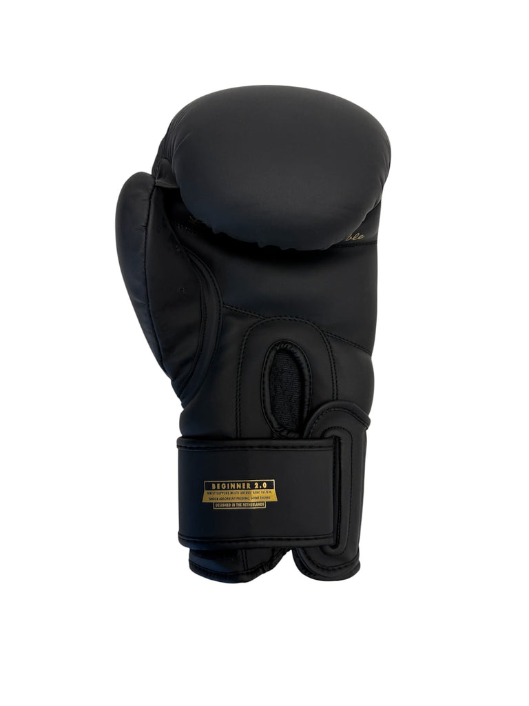 Rumble Boxing Gloves PU Beginner 2.0 Black/Gold