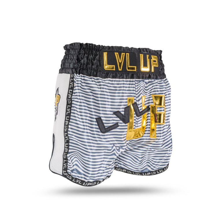 Kickboxing Shorts LVL-UP Flash 1
