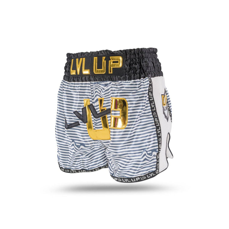 Kickboxing Shorts LVL-UP Flash 1