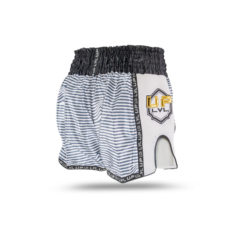 Kickboxing Shorts LVL-UP Flash 1