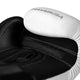 Hayabusa Boxing Gloves E1 White/Silver