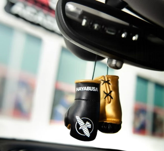 Hayabusa Mini Boxing Gloves Black/Gold